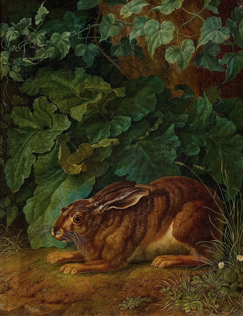 Lepre tra i cespugli (1803)